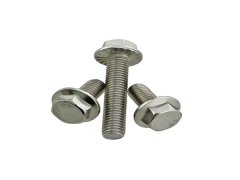 不锈钢法兰面螺栓